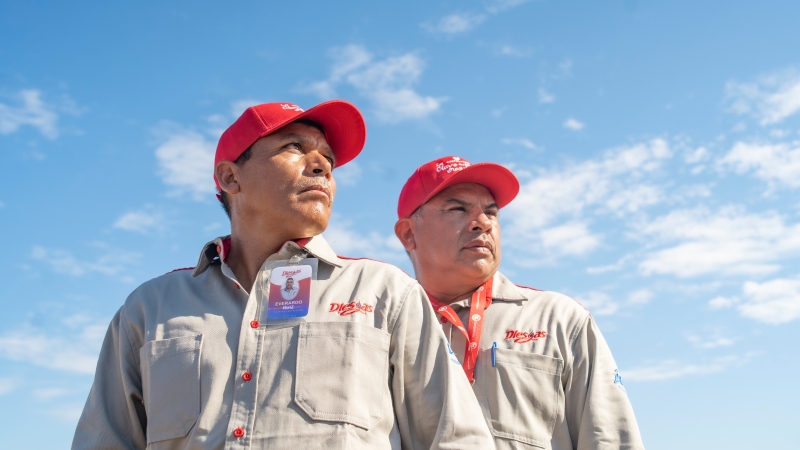 Trabajadores de Diesgas